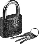 STAYER 50х42х22 мм, металлический корпус, закаленная дужка, замок навесной TOPLock 37160-50 купить по цене 410 ₽ в интернет магазине ТЕХСАД