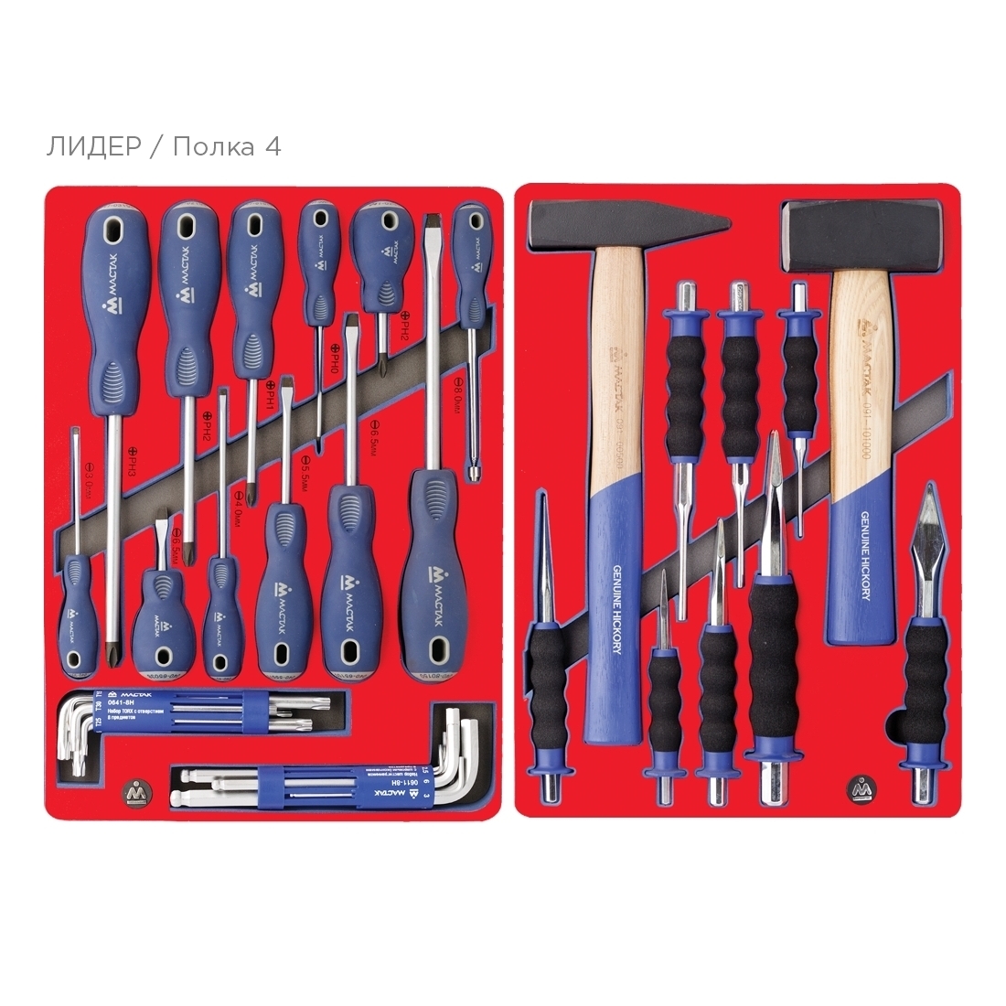 Набор инструментов ''ЛИДЕР'' для тележки, 14 ложементов, 270 предметов МАСТАК 5-00270 купить по цене 149 700 ₽ в интернет магазине ТЕХСАД