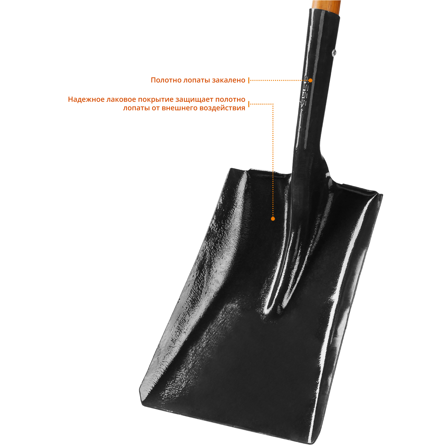 ЗУБР 320x250x1500 мм, совковая, деревянный черенок, лопата 39361_z02 Профессионал ЗУБР 320x250x1500 мм, совковая, деревянный черенок, лопата 39361_z02 Профессионал купить по цене 2 000 ₽ в интернет магазине ТЕХСАД