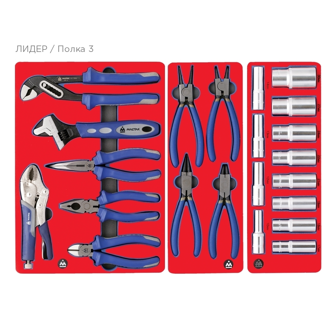 Набор инструментов ''ЛИДЕР'' для тележки, 14 ложементов, 270 предметов МАСТАК 5-00270 купить по цене 149 700 ₽ в интернет магазине ТЕХСАД