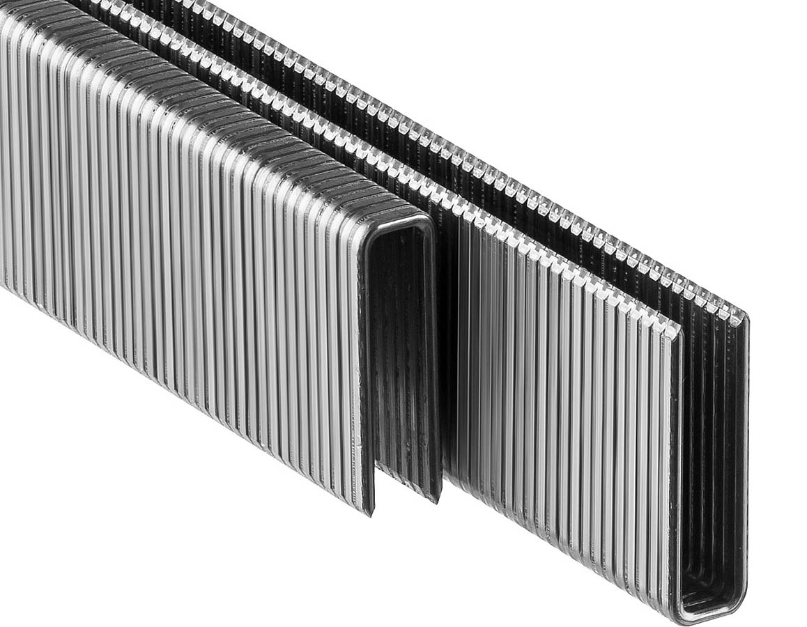 ЗУБР скобы тип 55, 20 мм, скобы особотвердые 31855-20 ПРОФЕССИОНАЛ ЗУБР скобы тип 55, 20 мм, скобы особотвердые 31855-20 ПРОФЕССИОНАЛ купить по цене 720 ₽ в интернет магазине ТЕХСАД