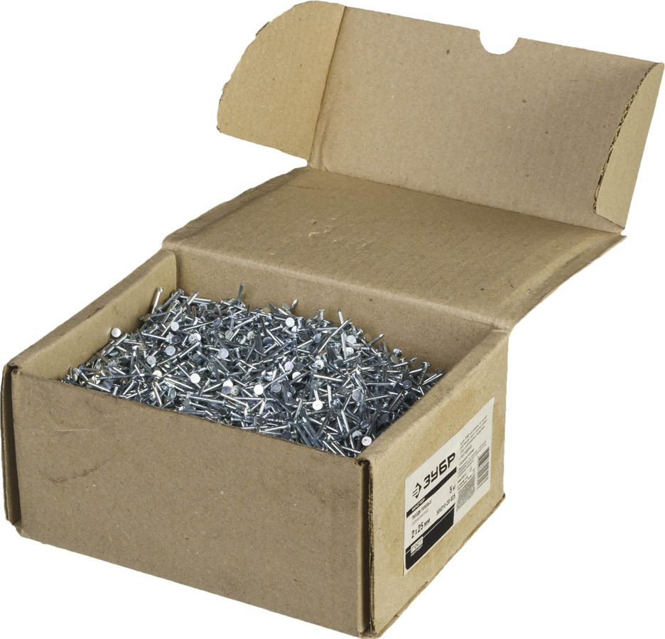 ЗУБР 25 х 2 мм, 5 кг, гвозди толевые 305210-20-025 Мастер купить по цене 1 370 ₽ в интернет магазине ТЕХСАД