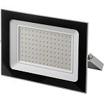 STAYER 100 Вт, LEDPro, прожектор светодиодный 57131-100 купить по цене 1 248 ₽ в интернет магазине ТЕХСАД