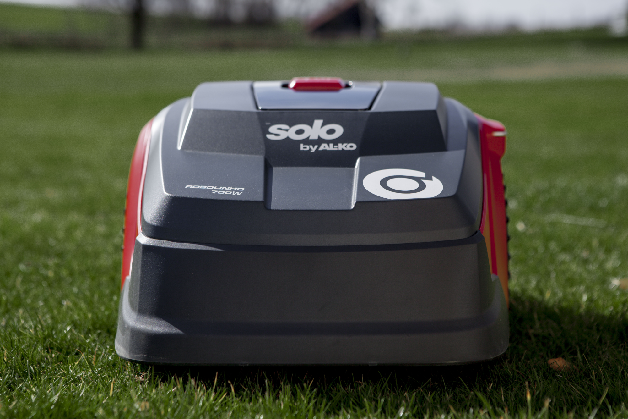 Газонокосилка-робот Solo by AL-KO Premium Pro Robolinho 700 W купить по цене 77&nbsp;467 ₽ в интернет магазине ТЕХСАД