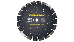 Диск алмазный CHAMPION C1609 универсальный PRO 300/25,4/10 Mixtar Диск алмазный CHAMPION C1609 универсальный PRO 300/25,4/10 Mixtar купить по цене 7 590 ₽ в интернет магазине ТЕХСАД