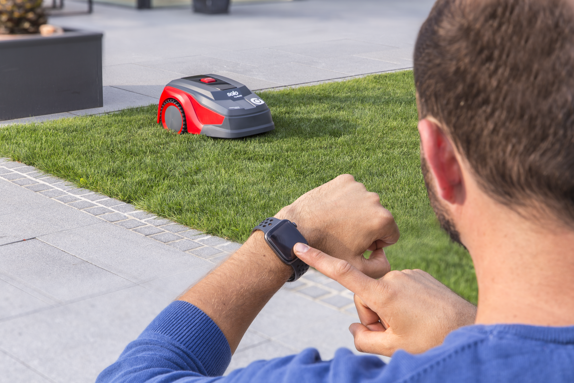 Газонокосилка-робот Solo by AL-KO Premium Pro Robolinho 700 W купить по цене 77&nbsp;467 ₽ в интернет магазине ТЕХСАД